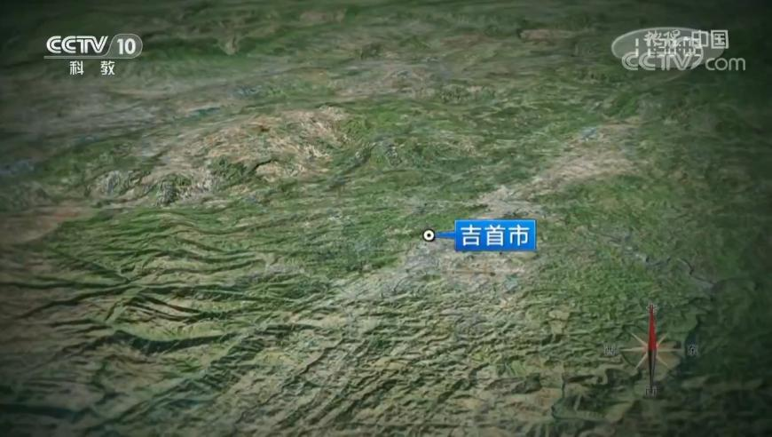 现实版骆驼祥子,香港九龙图库彩图49今天图,展开计划实施_储蓄版V4.77