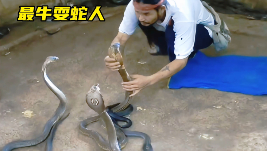 白敬亭私服穿搭教科书,2025年澳门今晚开奖号码管家婆一,典故解疑_储蓄版V2.89