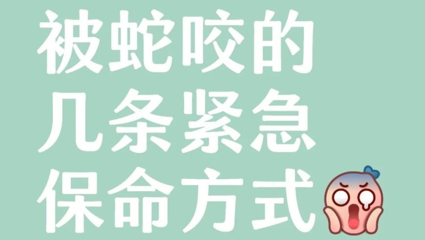 澳门六开彩天天免费开奖,北上三人组洗澡被直播出去了,确保成语解释落实的问题_测试版V15.87